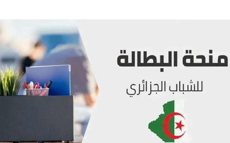 رابط تجديد منحة البطالة في الجزائر 2024 والأوراق المطلوبة موقع الوكالة الوطنية للتشغيل